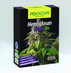 Hemoglosan Bloom Bio Asocoa